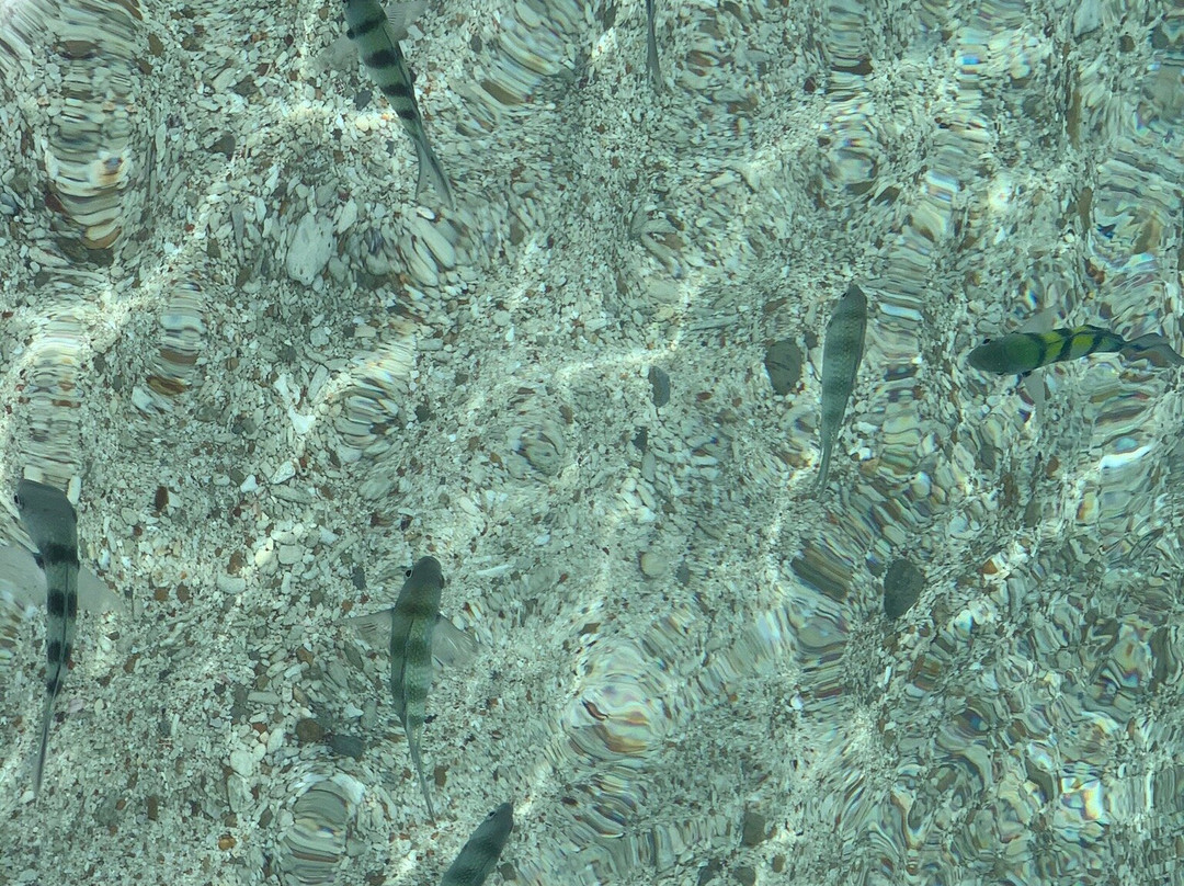 Nor Nou Kaibae Hut Speed Boat-象岛必去景点