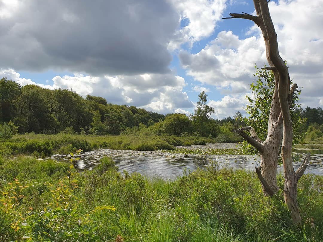 Nationaal Park Drents-Friese Wold-Appelscha必去景点