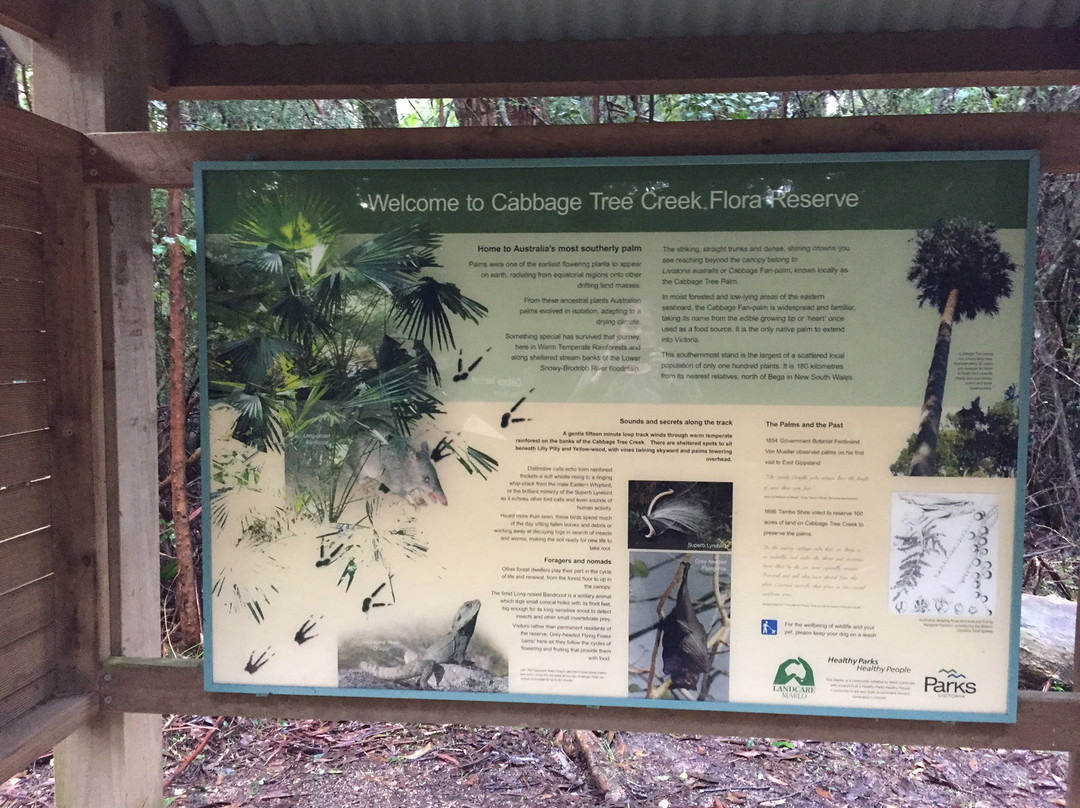 Cabbage Tree Creek Flora Reserve景点图片