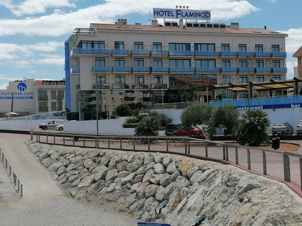 Hotel Flamingo主图