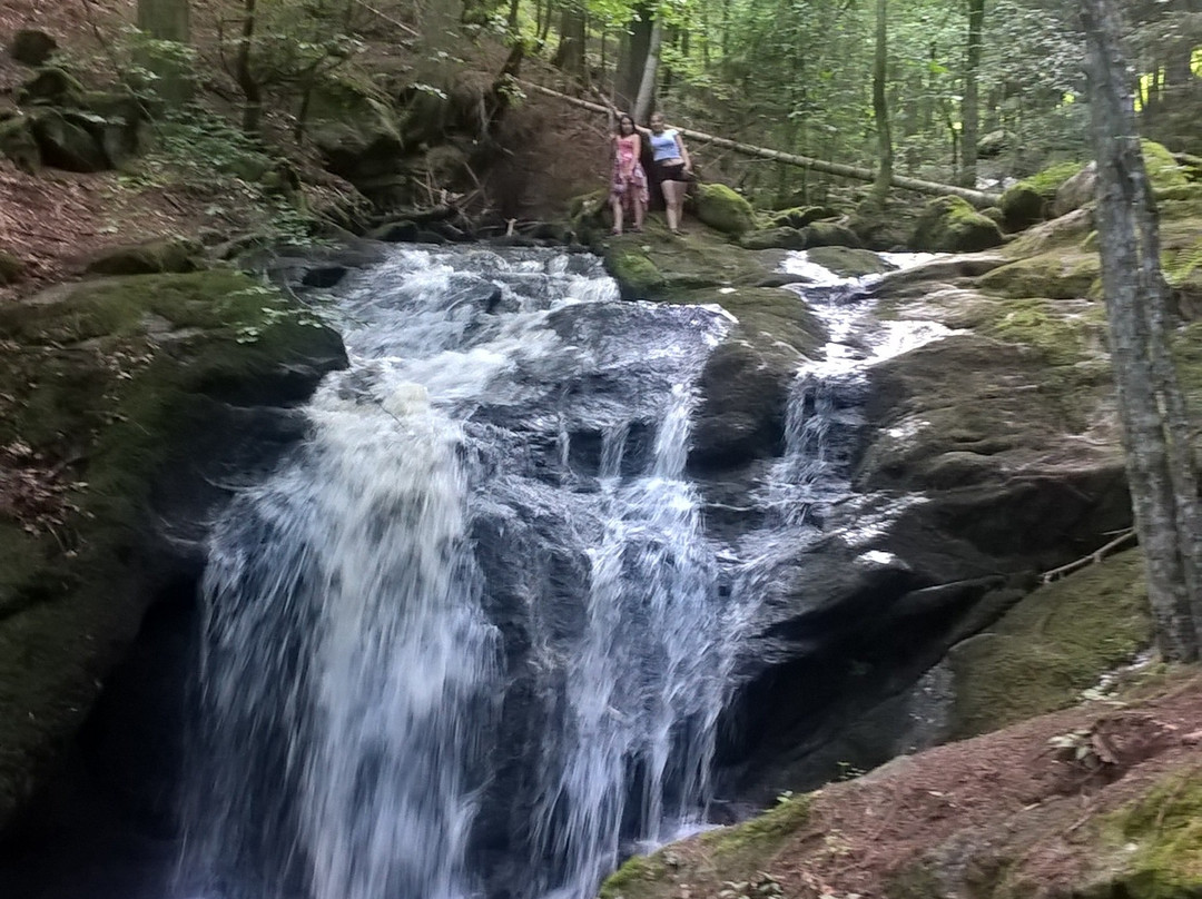 Cascade du Saut du Diable景点图片