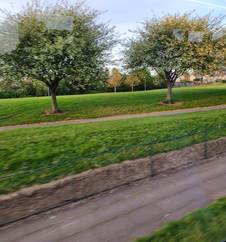 Webster Park-Kirkby必去景点