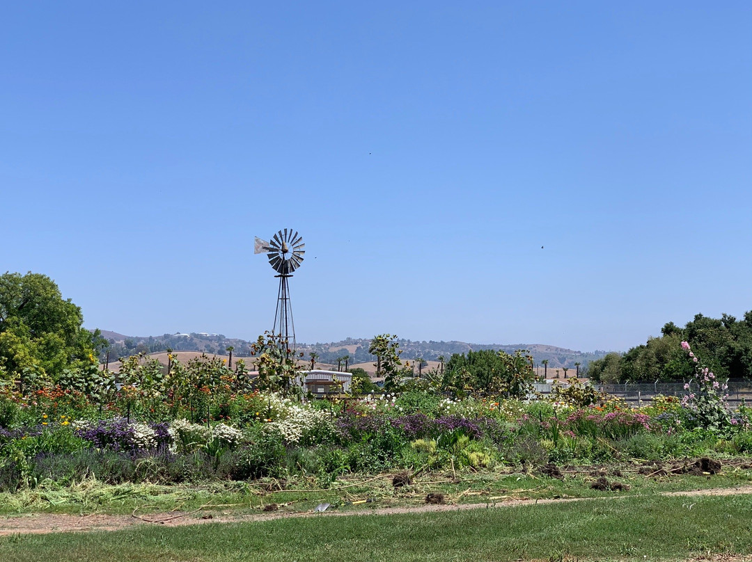 Farm Store at Kellogg Ranch-波莫纳必去景点