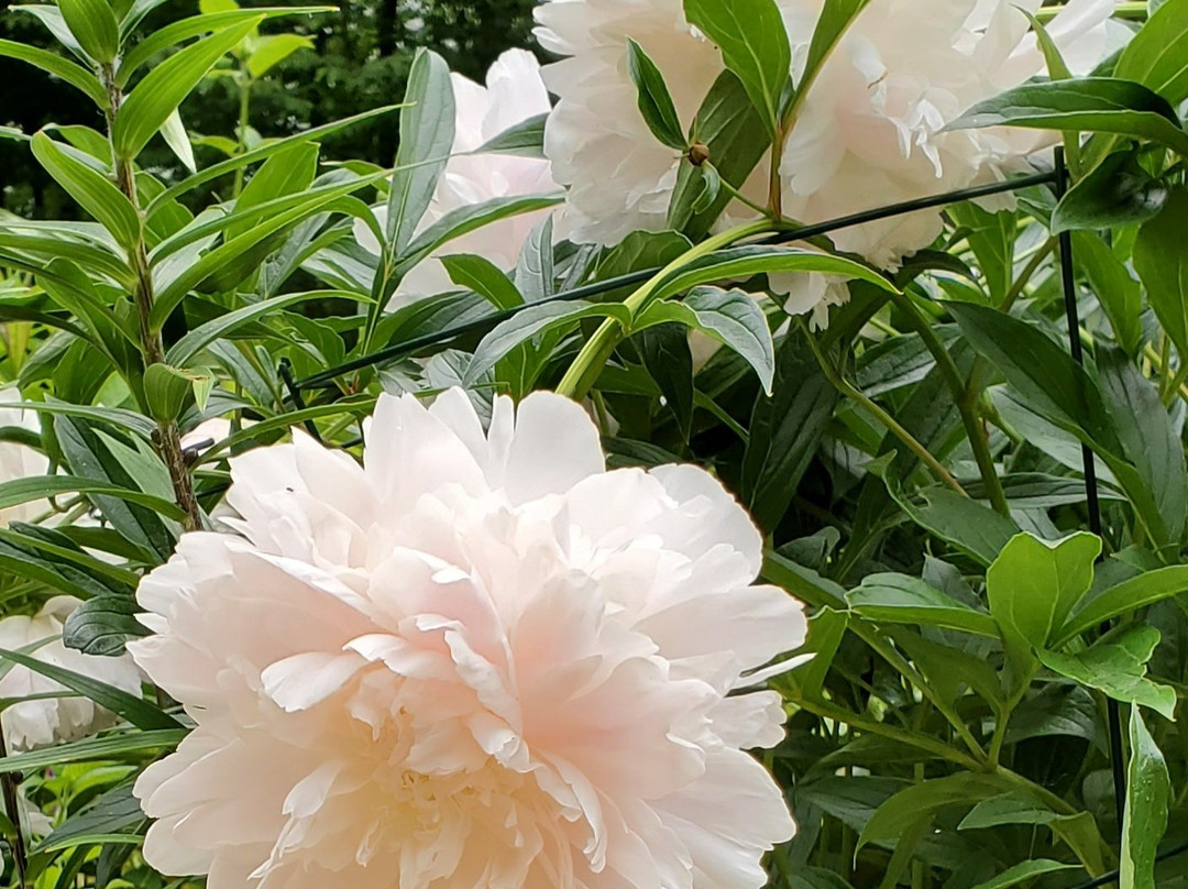 Beacon Shore Bed & Breakfast主图