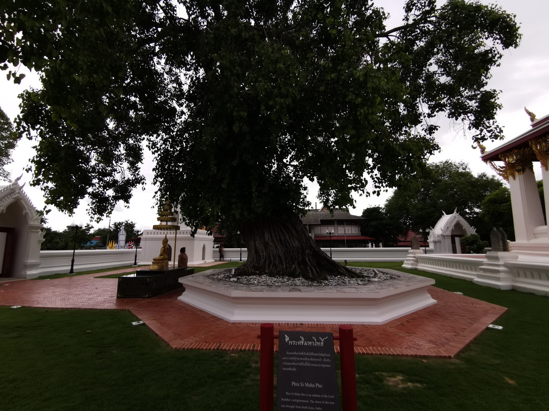 Wat Suwan Dararam Ratchaworawihan-大城必去景点