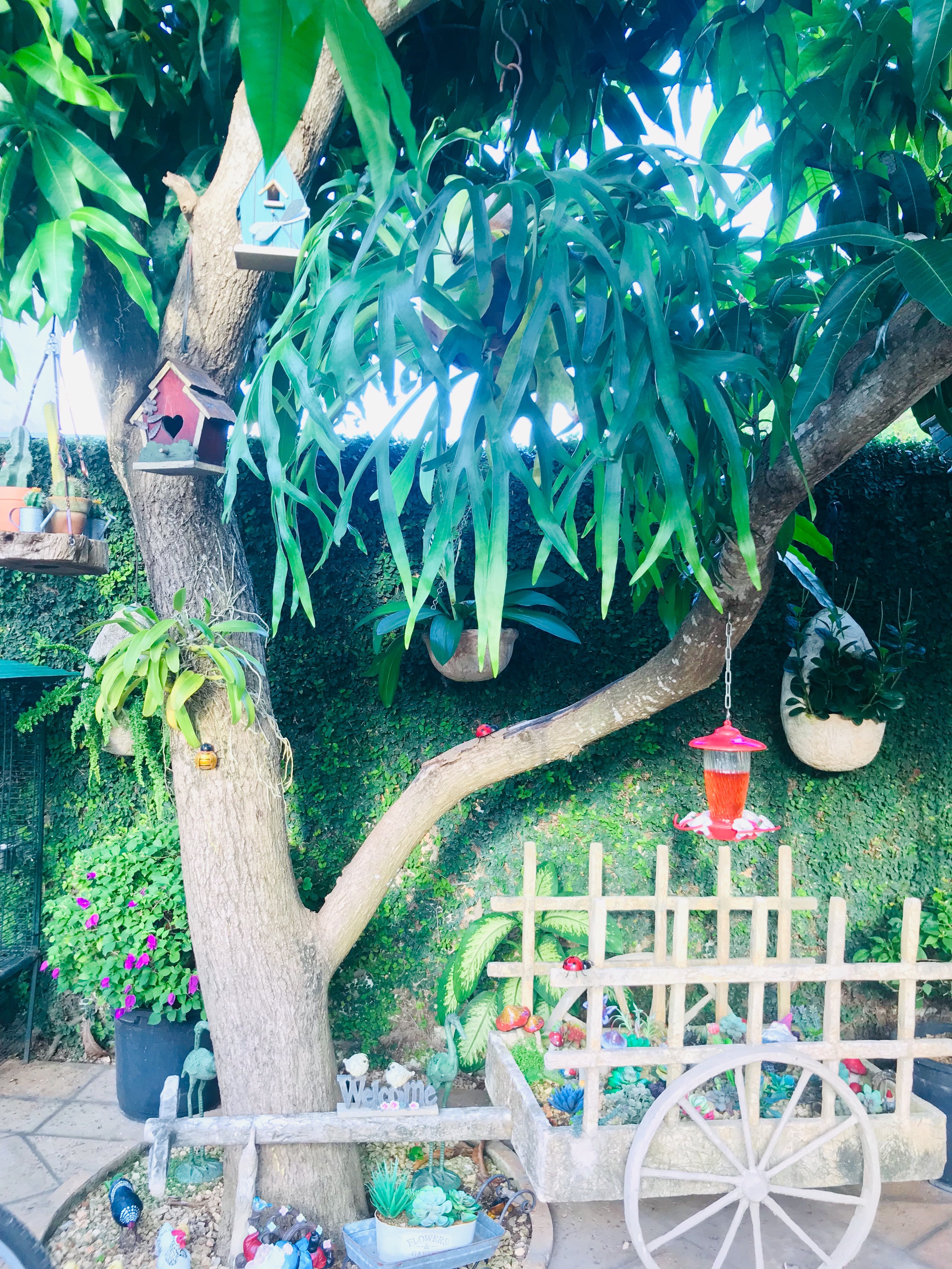 Pedrito Hostal-官方