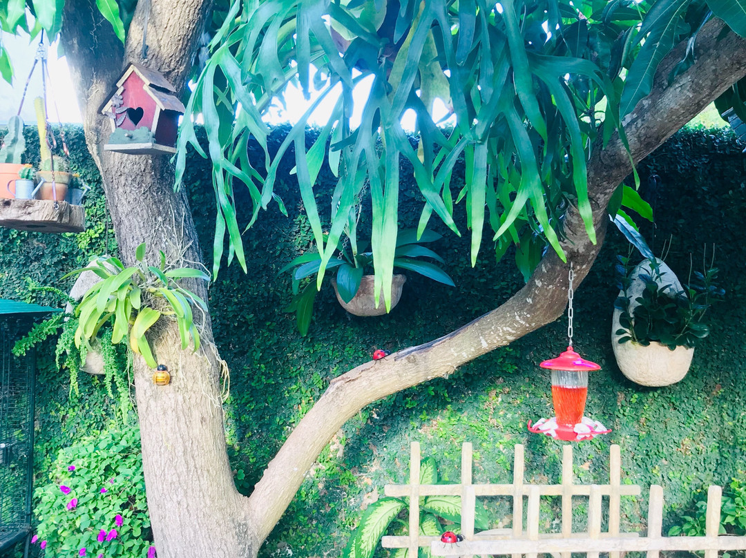 Pedrito Hostal主图