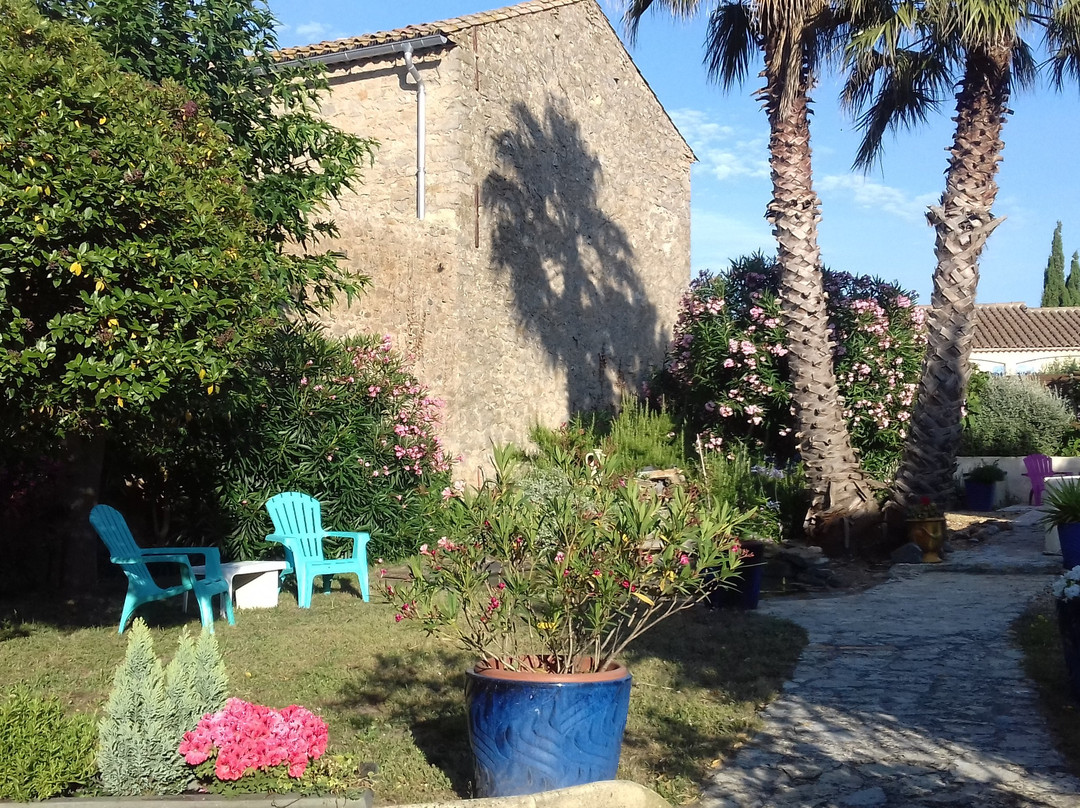 Au Jardin d'Amphora主图
