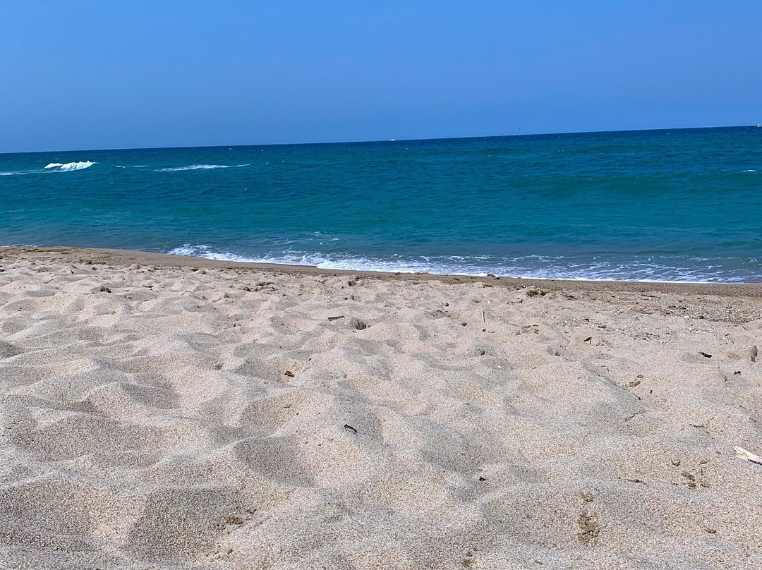 Naksan Beach-襄阳郡必去景点