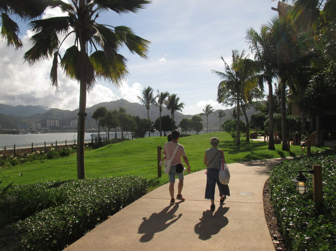 迪士尼探索家度假酒店主图