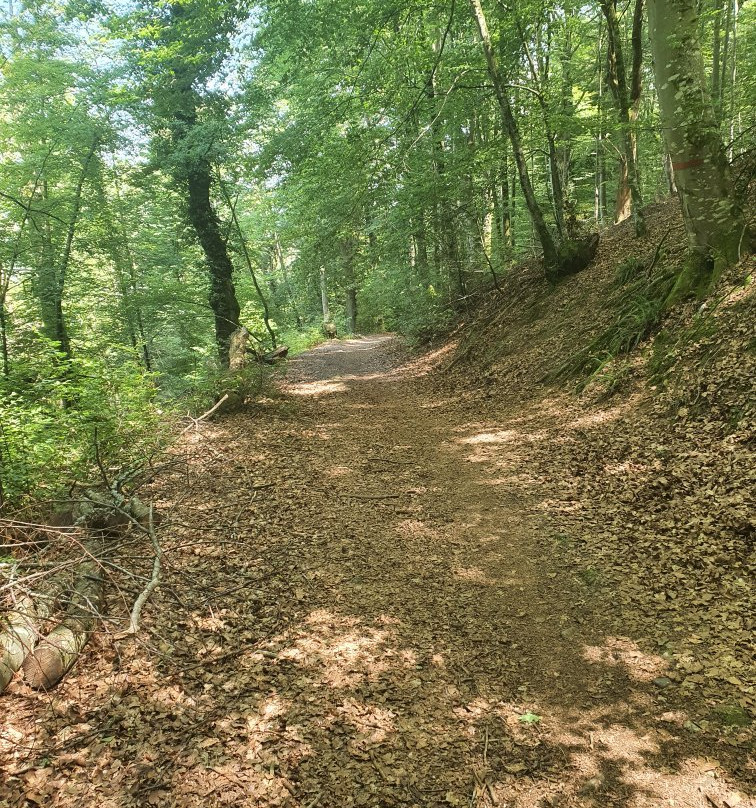 Vierge du Bedat-Bagneres-de-Bigorre必去景点