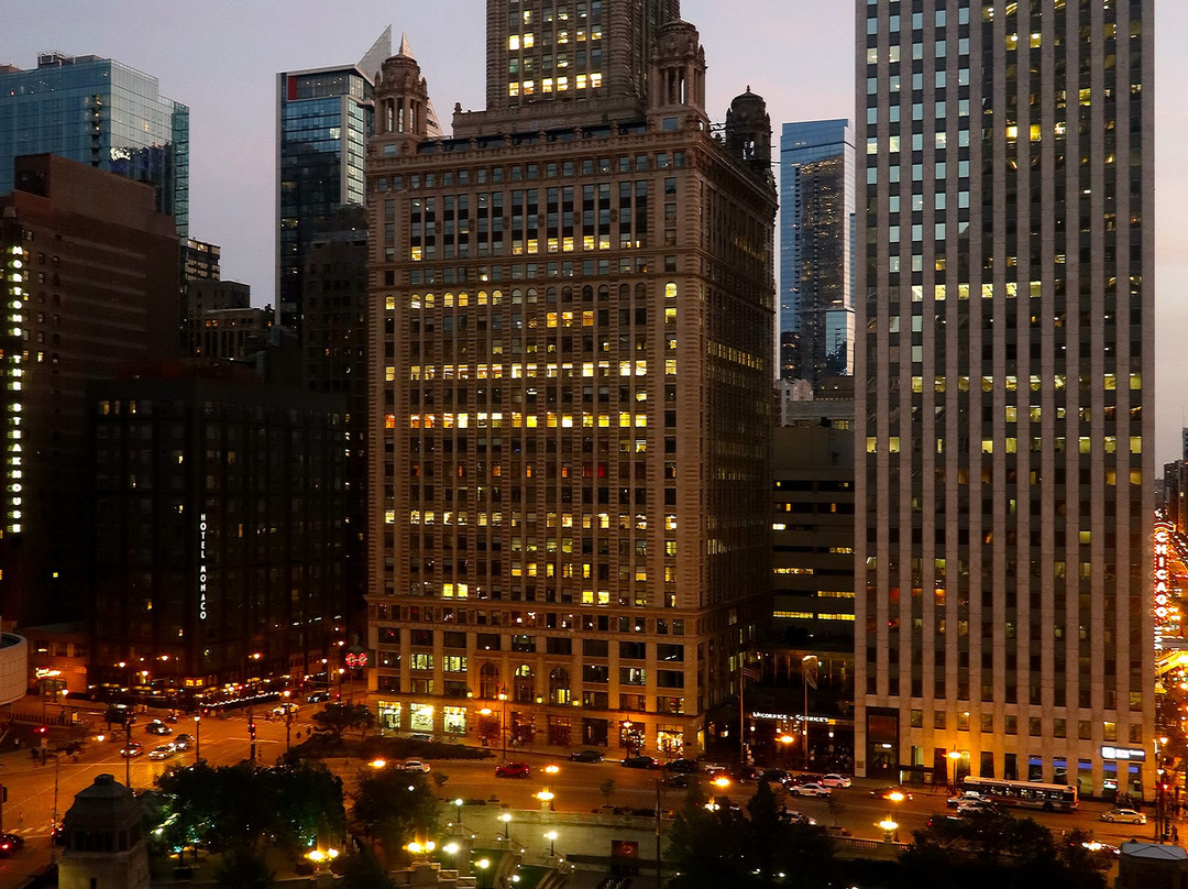 Chicago Skyline景点图片