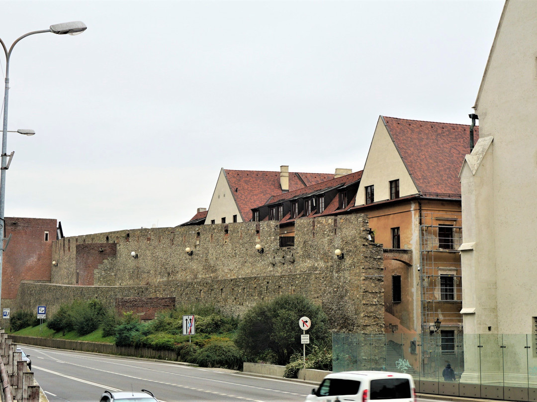 Tour4U - Bratislava Sightseeing景点图片
