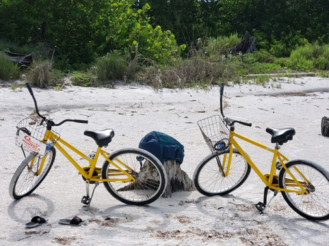 Quicky Cycles-迈尔斯堡海滩必去景点