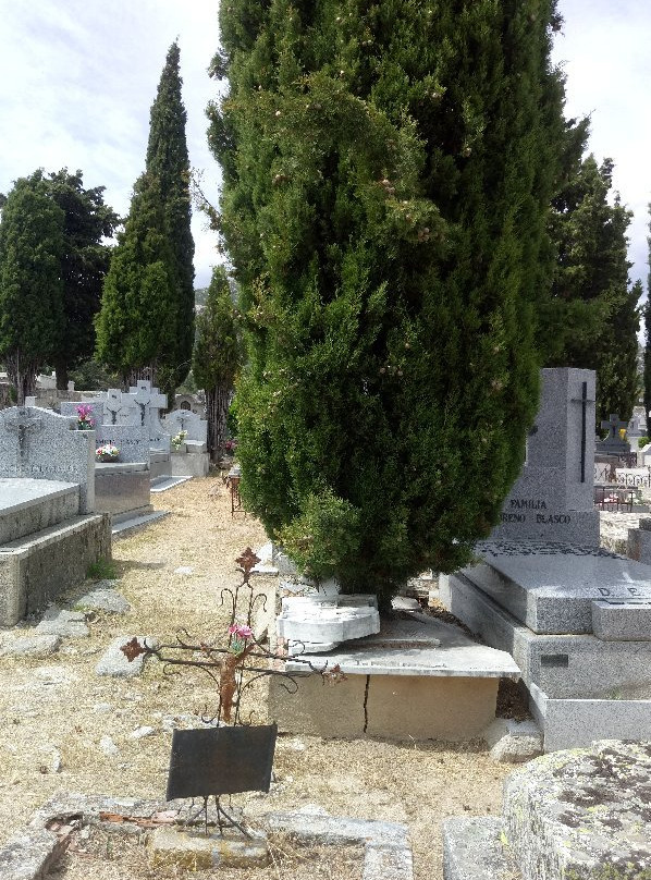 Cementerio Hoyo de Manzanares