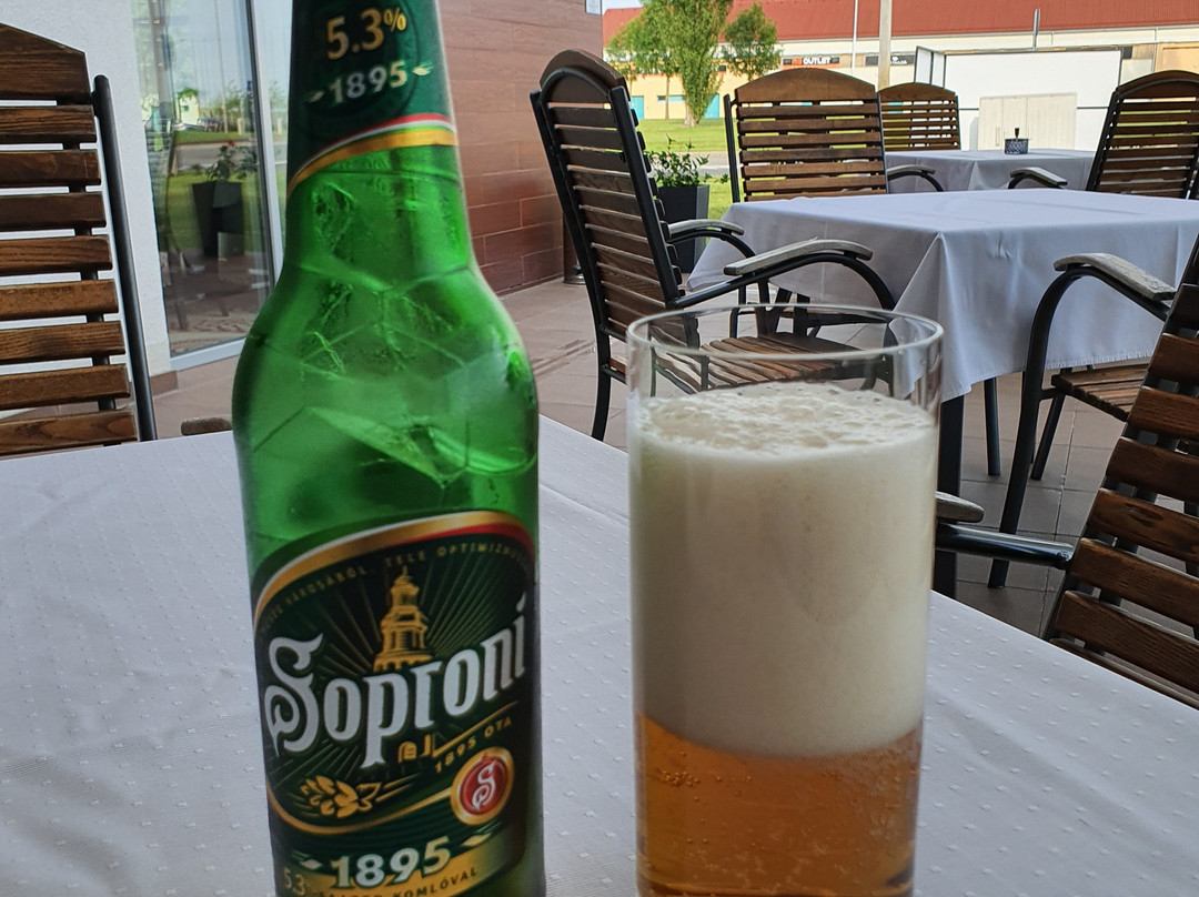 Outlet Hotel Polgár主图