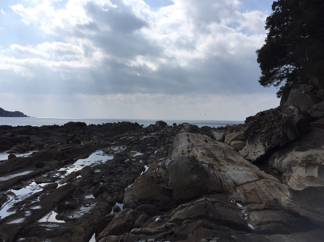 Tatsukushi Coast-土佐清水市必去景点