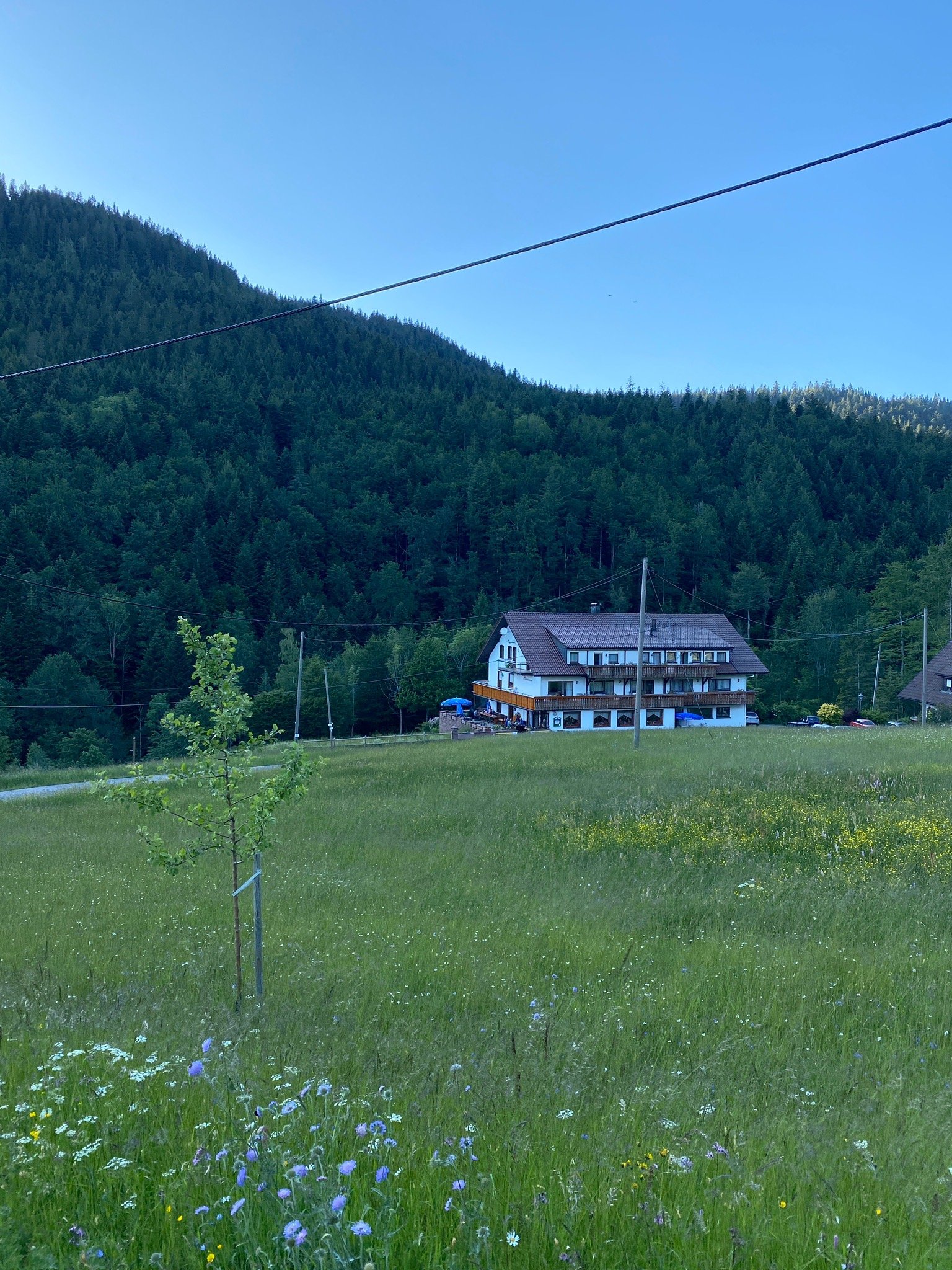 Gasthaus Herbstwasen-官方