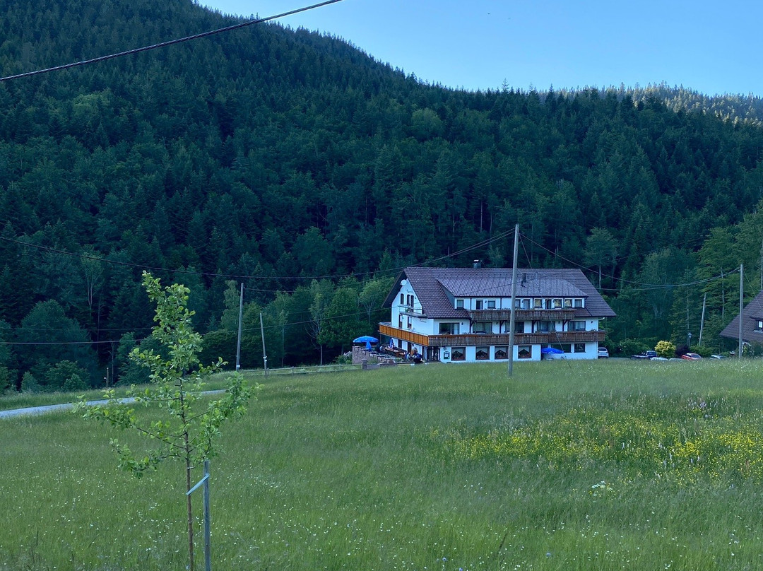 Kniebis酒店住宿-Gasthaus Herbstwasen