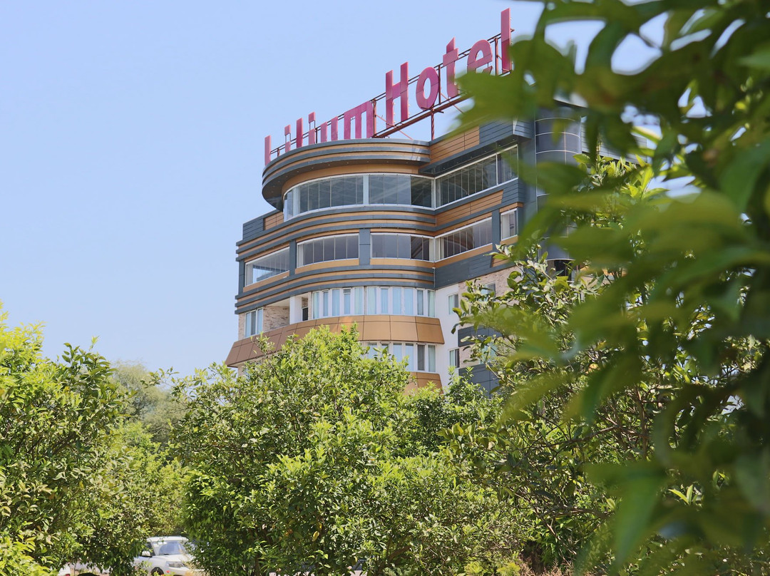 Lilium Hotel主图