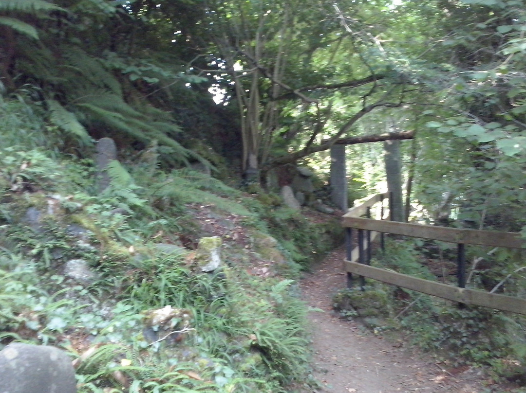 Jardin de Pierres d'Alas景点图片