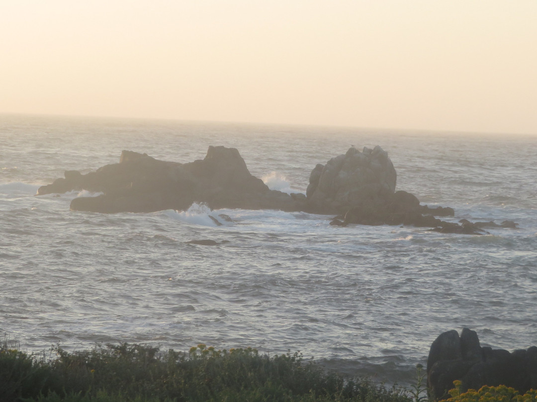 Pacific Grove Shoreline Parkway Marine Refuge景点图片