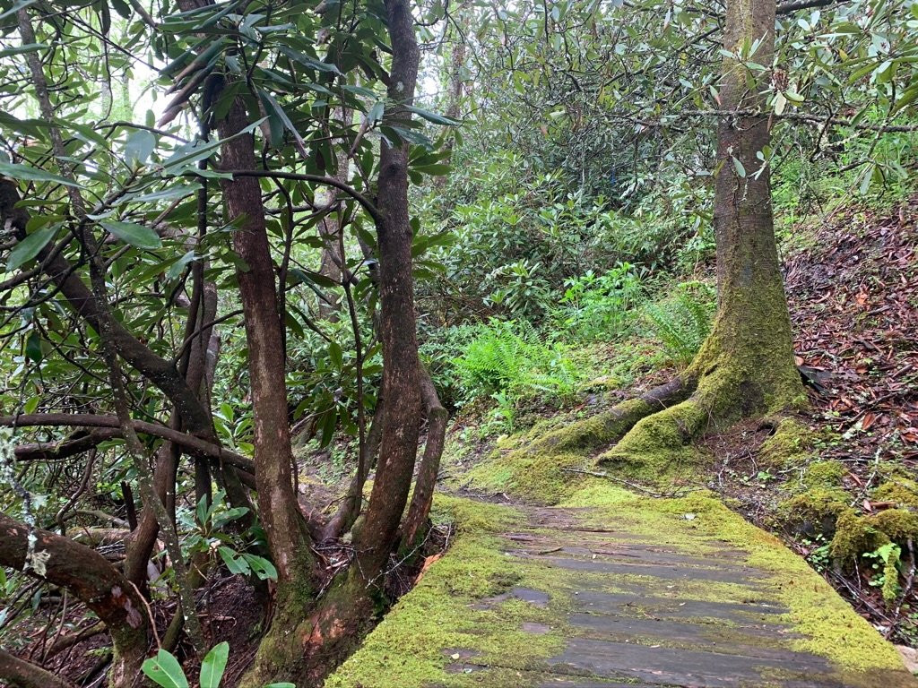 Half-Mile Farm by Old Edwards主图