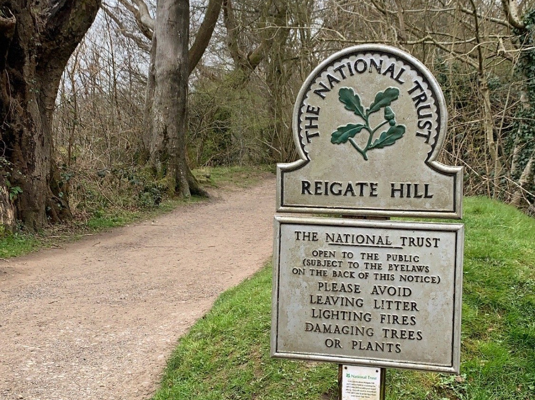 Reigate Hill景点图片