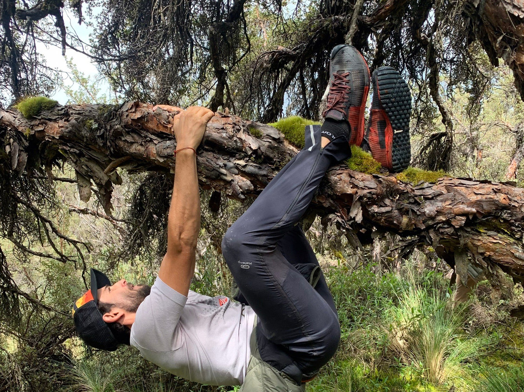 Reserva Ecologica Los Ilinizas-Machachi必去景点