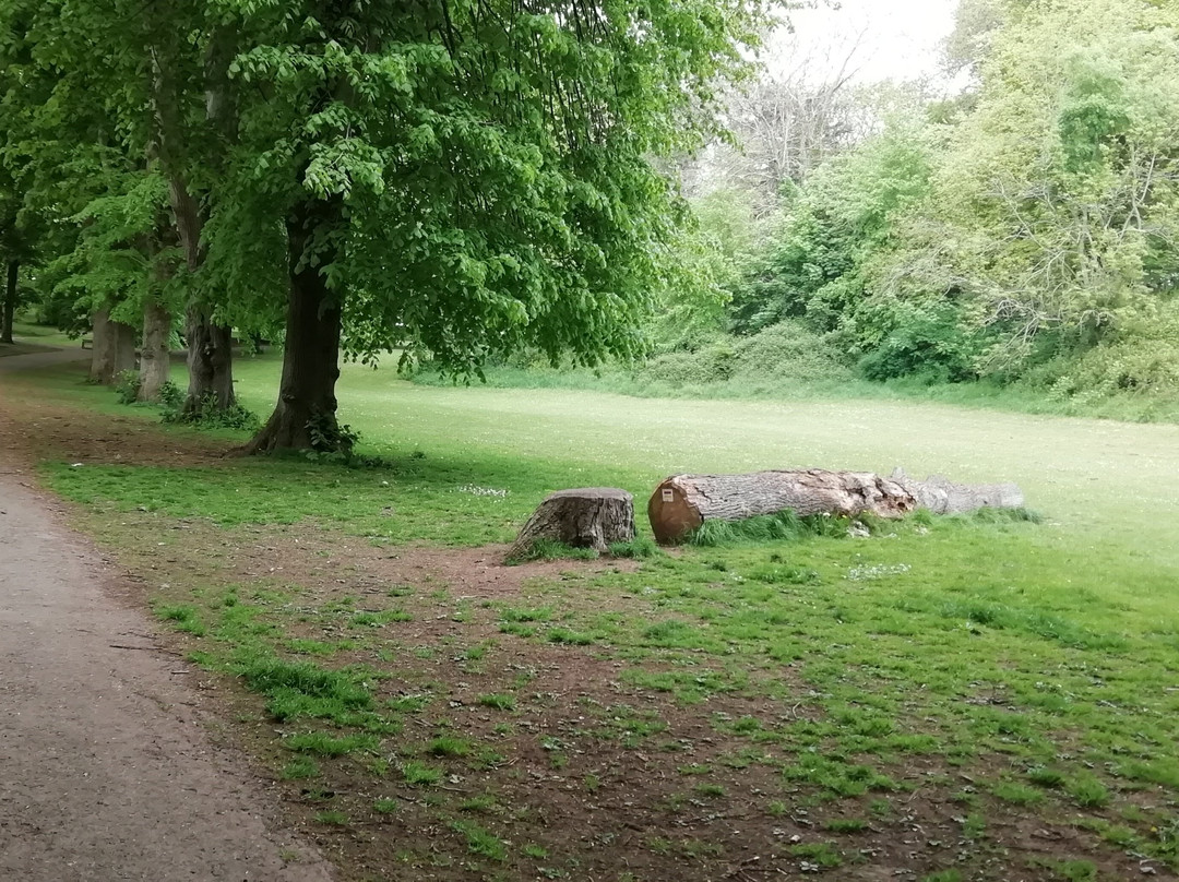 Ashcombe Park-滨海韦斯顿必去景点