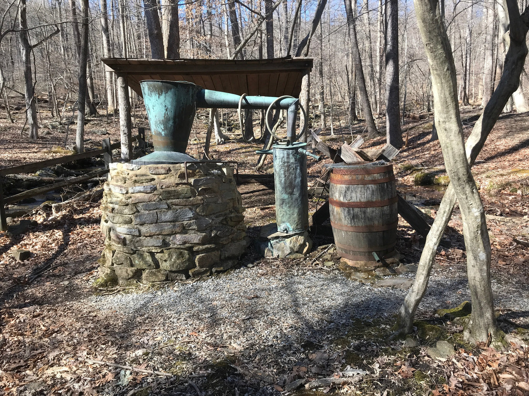 Catoctin Mountain Park景点图片