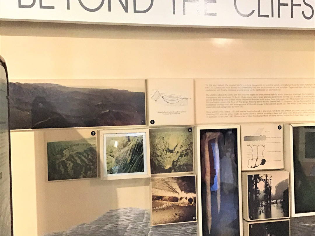 Paparoa National Park Visitor Information Centre景点图片