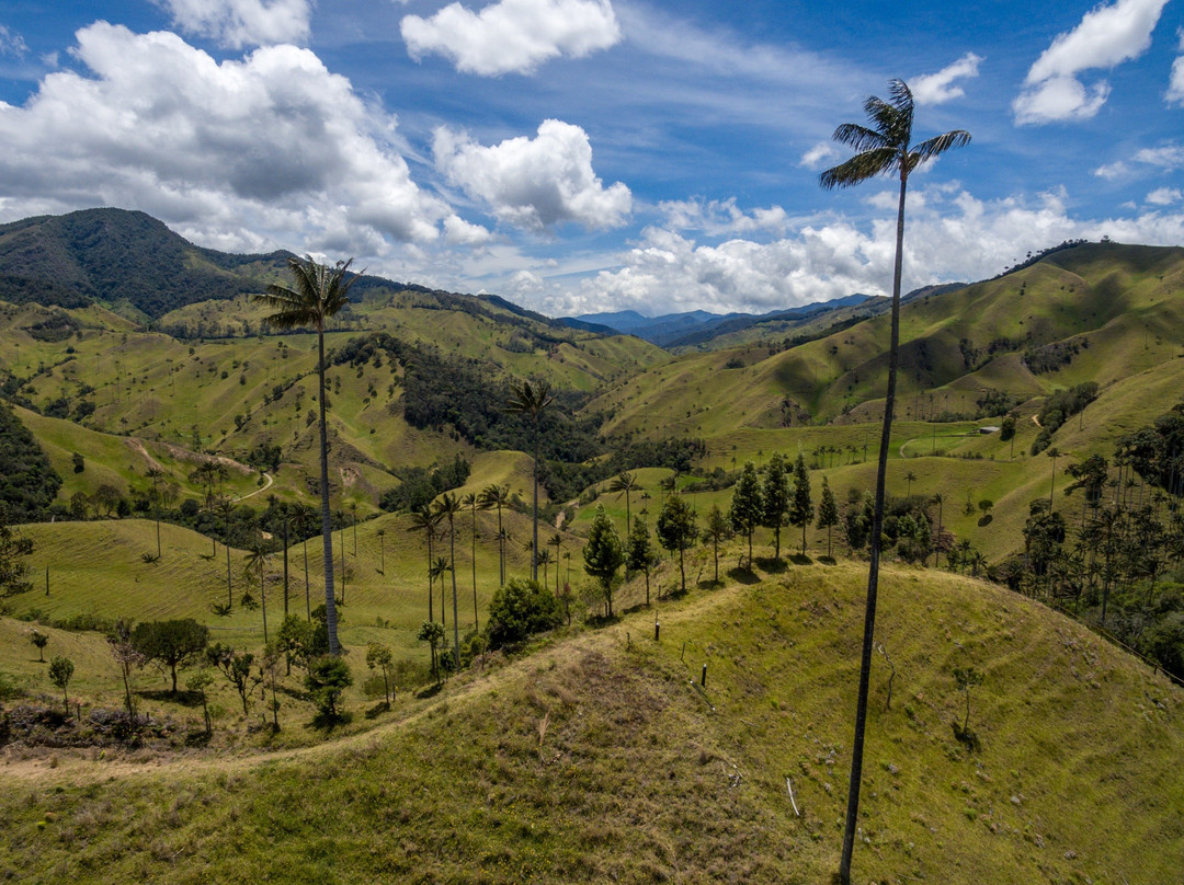 Gran Colombia Tours (Salento)景点图片