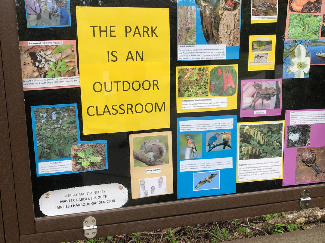 Latham Whitehurst Nature Park-新伯尔尼必去景点