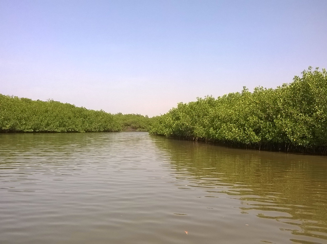 Royal Baobab Excursions景点图片