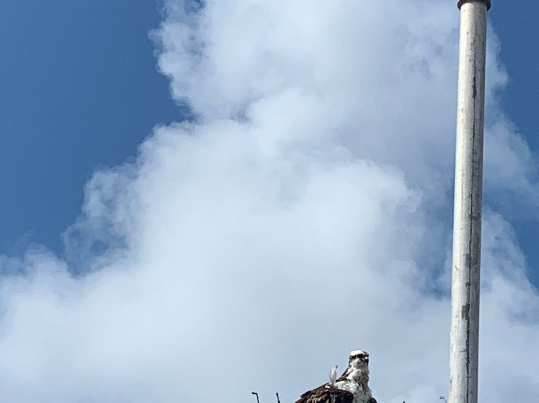 Flamingo Visitor Center-大沼泽国家公园必去景点