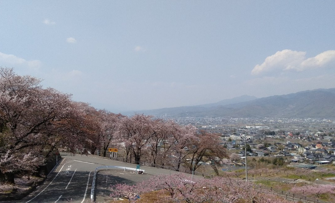 Yashiro Furusato Park景点图片