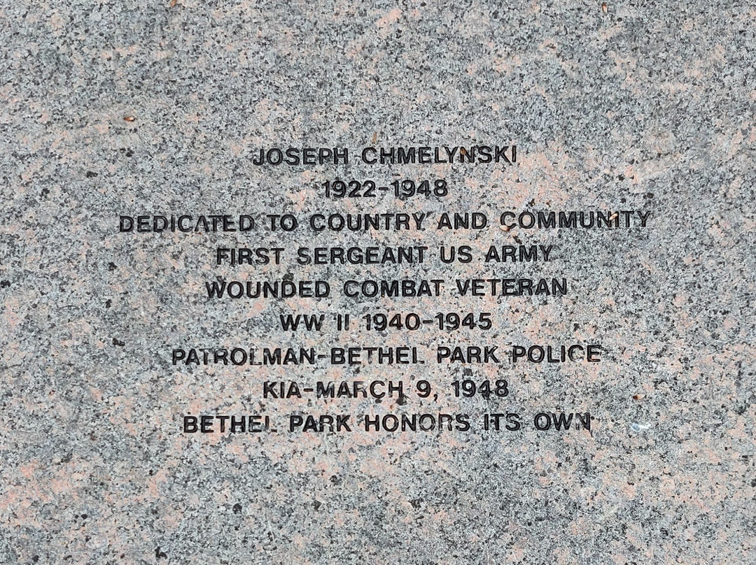 Bethel Park Veterans Memorial景点图片