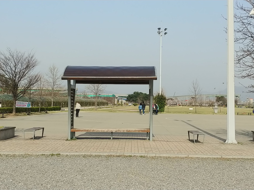 Guri Hangang Park (Cosmos Park)-九里市必去景点