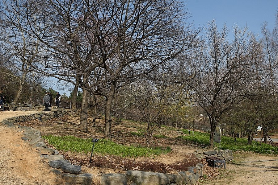 Mulhyanggi Arboretum景点图片