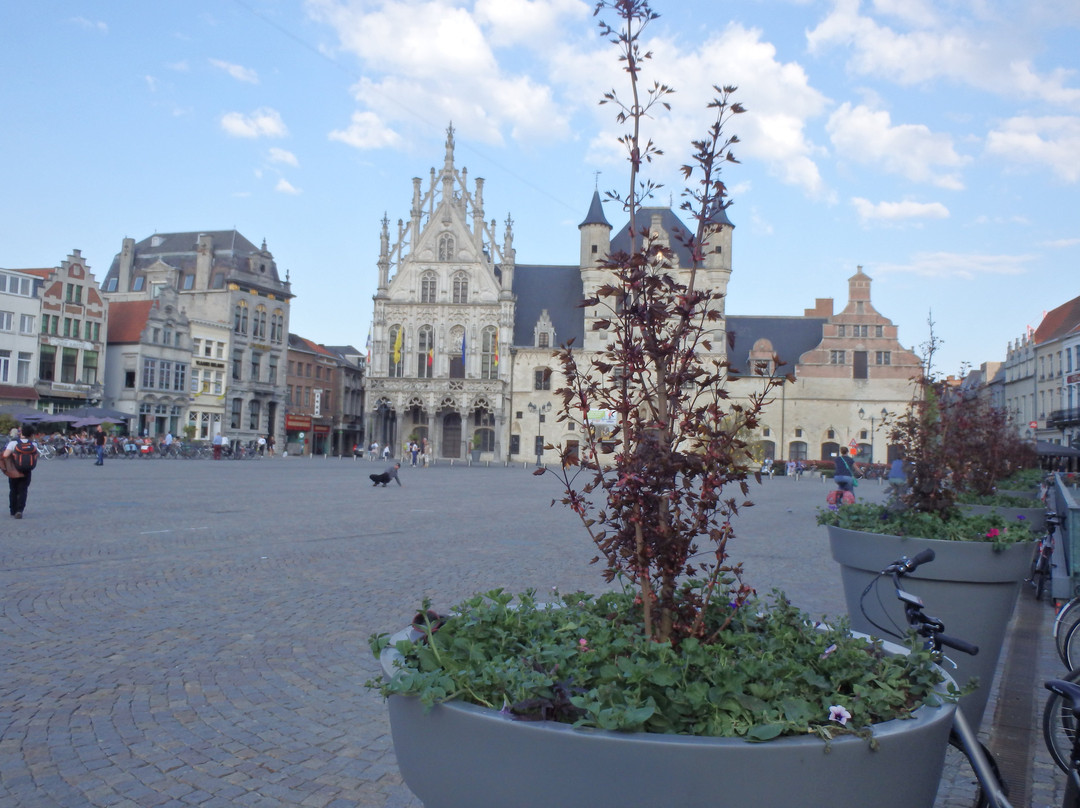 Grote Markt景点图片