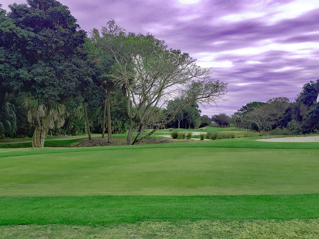 The Palms Golf Club at Forest Lakes-萨拉索塔必去景点