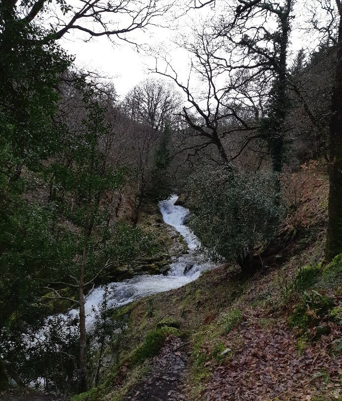 Poulanass Waterfall-Derrybawn必去景点