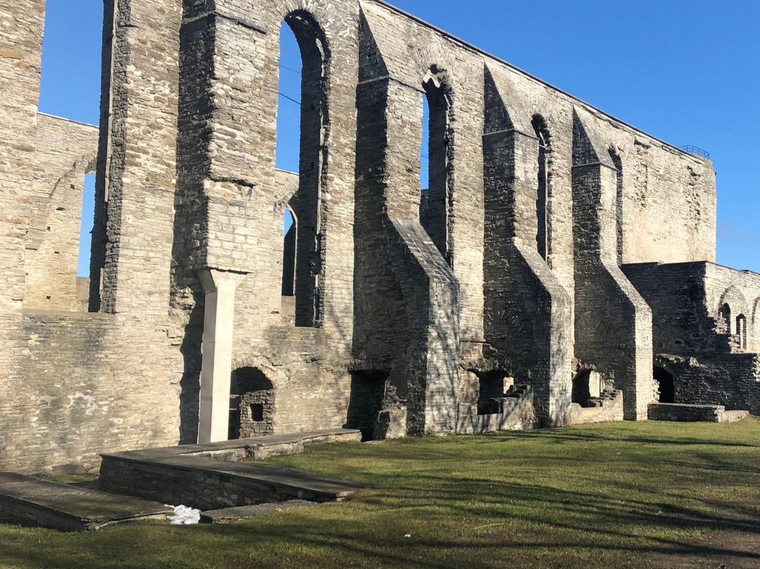 Convent of St. Bridget (Pirita Klooster)-塔林必去景点