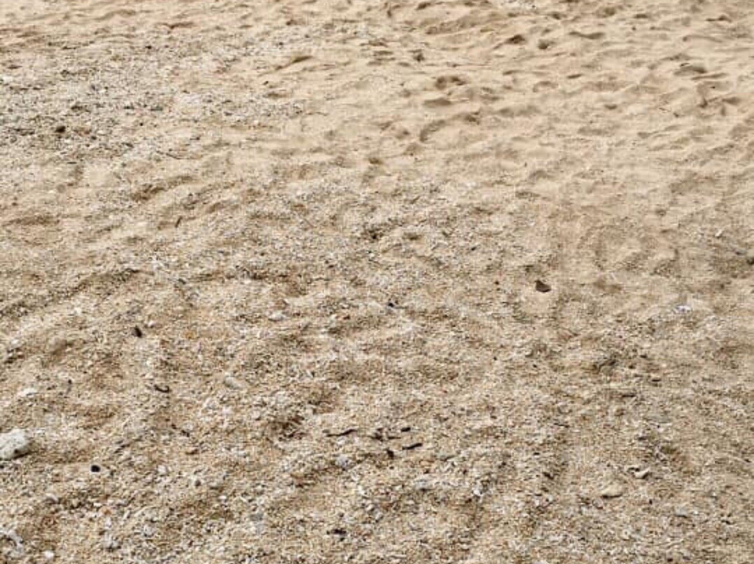 Hermit's Cove-Aloguinsan必去景点