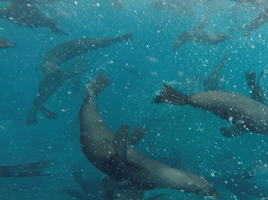 Marenostrum Expediciones-Isla Robinson Crusoe必去景点