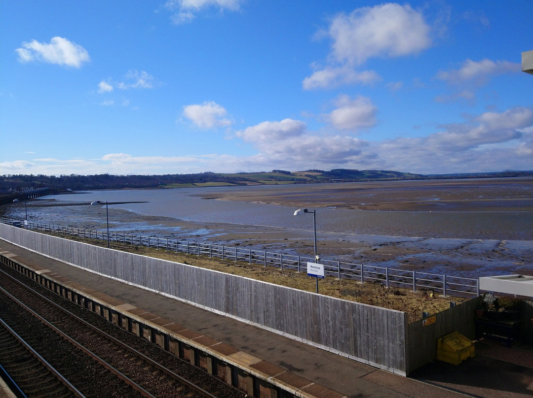Montrose Basin Visitor Centre, Scottish Wildlife Trust景点图片