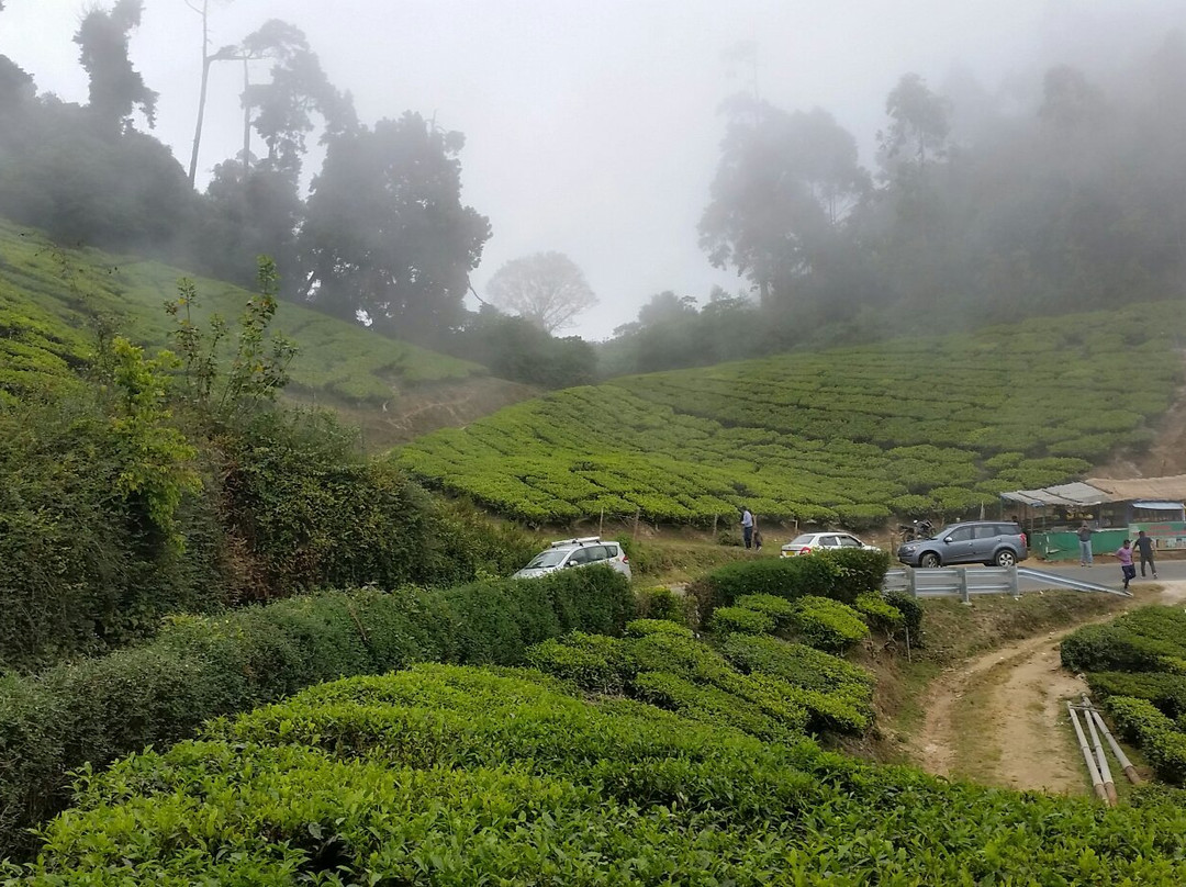 Top Station View Point-Theni必去景点