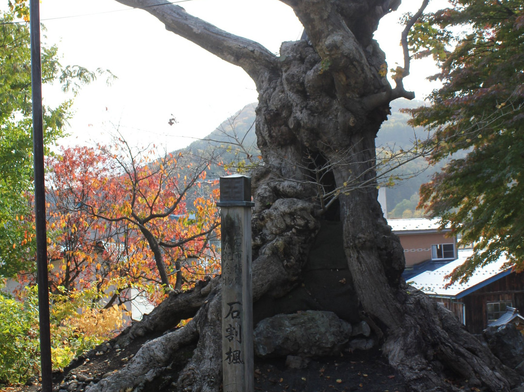 Rurizan Yakushi-ji Temple-黑石市必去景点