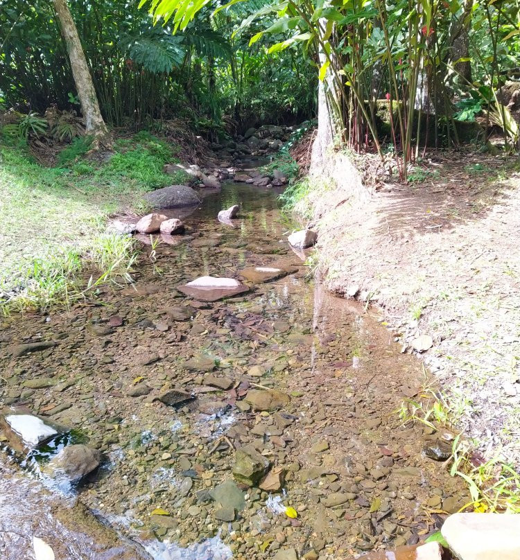 Foret Coeur Bouliki-Saint-Joseph必去景点